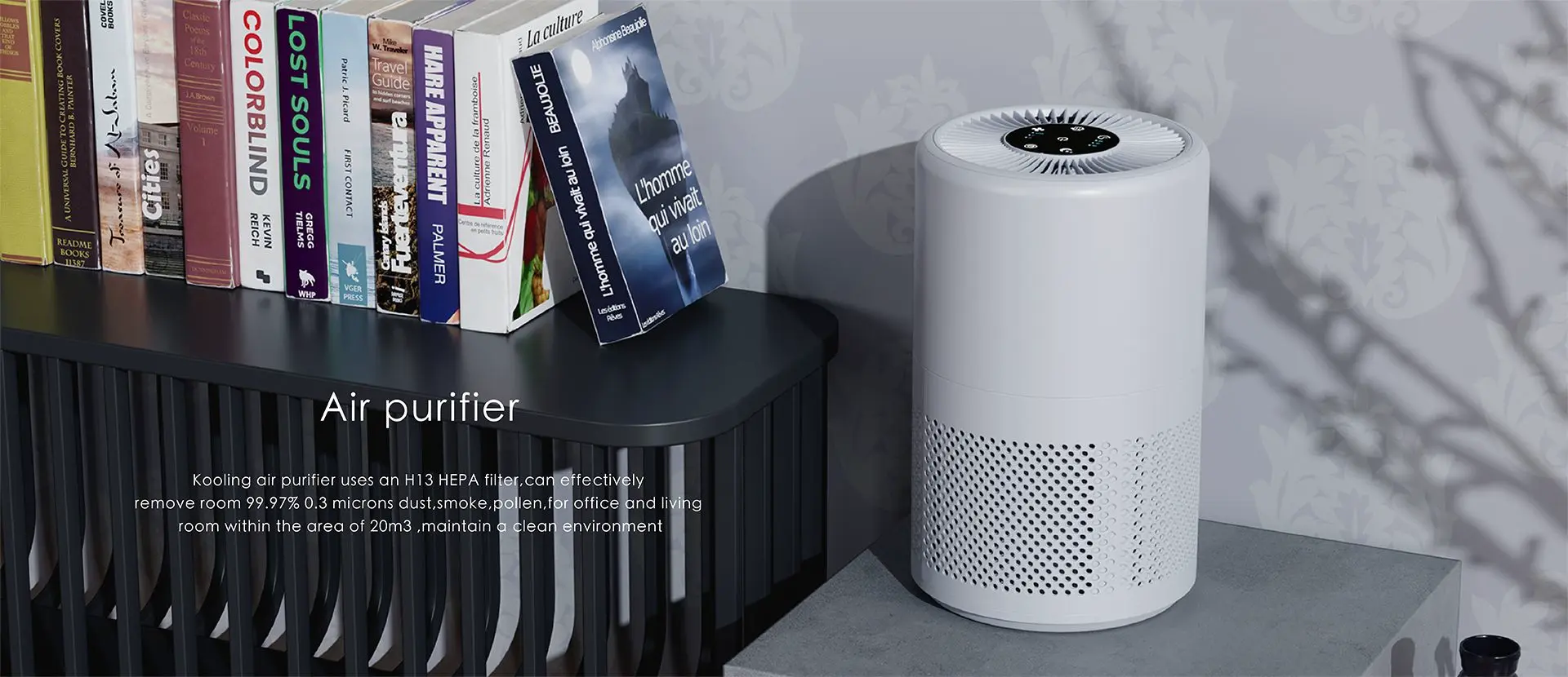 Kooling professional household small dehumidifier manufacturer - Air purifier AD210