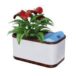 Kooling Pot humidifier can be used in office, balcony, study, living room, indoor garden,etc