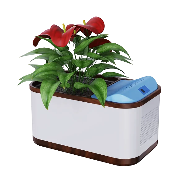 Kooling Pot humidifier can be used in office, balcony, study, living room, indoor garden,etc